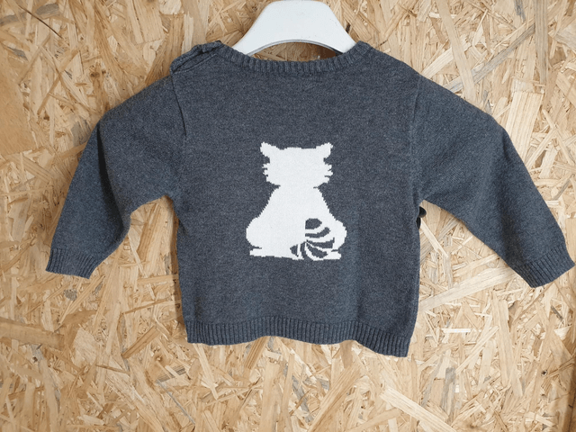 Pull raton laveur 12 mois